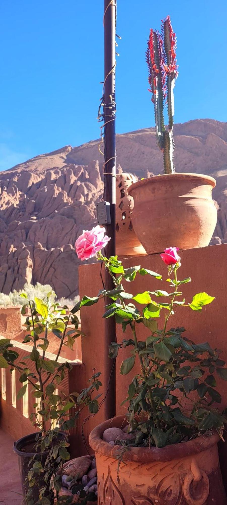 Tafsut Dades Guesthouse Stay With Locals Tamellalt  Exterior photo