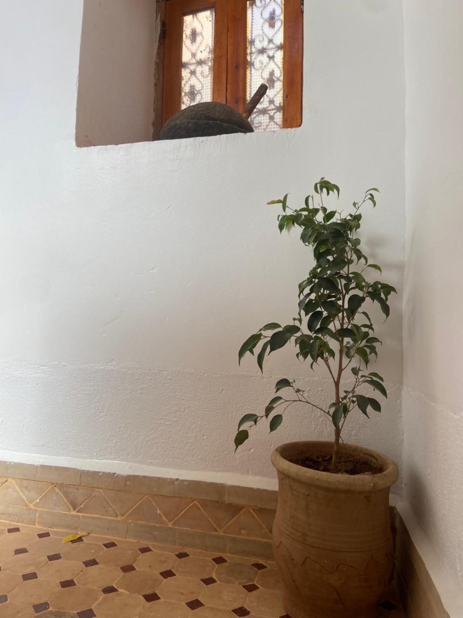 Tafsut Dades Guesthouse Stay With Locals Tamellalt  Exterior photo